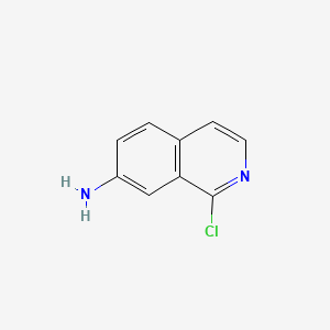 molecular formula C9H7ClN2 B596608 1-Chloroisoquinolin-7-amine CAS No. 1374651-74-7