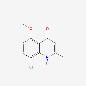 molecular formula C11H10ClNO2 B596652 8-Chloro-5-methoxy-2-methylquinolin-4(1H)-one CAS No. 1206-62-8