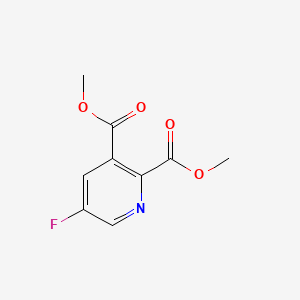 molecular formula C9H8FNO4 B596710 Dimethyl 5-fluoropyridine-2,3-dicarboxylate CAS No. 155702-14-0