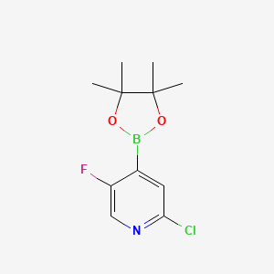 molecular formula C11H14BClFNO2 B596734 2-Chloro-5-fluoropyridine-4-boronic acid pinacol ester CAS No. 1256360-62-9