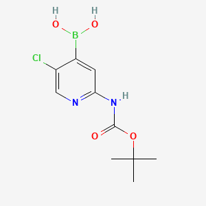 2-(Tert-butoxycarbonylamino)-5-chloropyridin-4-ylboronic acid