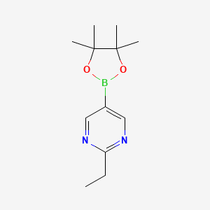 molecular formula C12H19BN2O2 B596805 2-Ethyl-5-(4,4,5,5-tetramethyl-1,3,2-dioxaborolan-2-yl)pyrimidine CAS No. 1235450-87-9