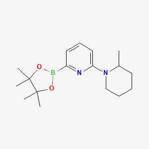 2-(2-Methylpiperidin-1-yl)-6-(4,4,5,5-tetramethyl-1,3,2-dioxaborolan-2-yl)pyridine