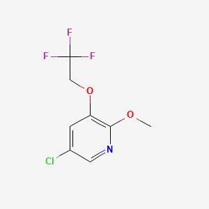 molecular formula C8H7ClF3NO2 B596838 5-Chloro-2-methoxy-3-(2,2,2-trifluoroethoxy)pyridine CAS No. 1280786-68-6