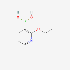 molecular formula C8H12BNO3 B596931 (2-乙氧基-6-甲基吡啶-3-基)硼酸 CAS No. 1310384-30-5