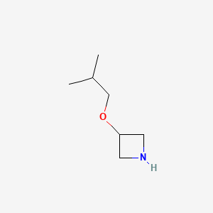 molecular formula C7H15NO B596961 3-(2-Methylpropoxy)azetidine CAS No. 1260879-20-6