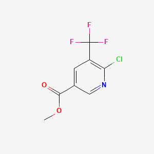molecular formula C8H5ClF3NO2 B597056 Methyl 6-chloro-5-(trifluoromethyl)nicotinate CAS No. 1360952-35-7