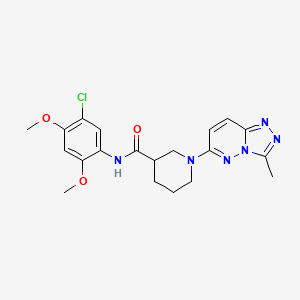 molecular formula C20H23ClN6O3 B5971058 N-(5-chloro-2,4-dimethoxyphenyl)-1-(3-methyl[1,2,4]triazolo[4,3-b]pyridazin-6-yl)piperidine-3-carboxamide 