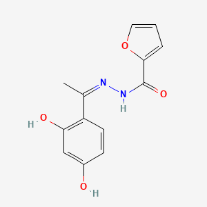 molecular formula C13H12N2O4 B5971411 N-[(Z)-1-(2,4-dihydroxyphenyl)ethylideneamino]furan-2-carboxamide 