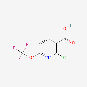molecular formula C7H3ClF3NO3 B597260 2-Chloro-6-(trifluoromethoxy)nicotinic acid CAS No. 1221172-04-8