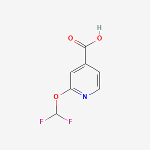 molecular formula C7H5F2NO3 B597304 2-(Difluoromethoxy)isonicotinic acid CAS No. 1211581-51-9