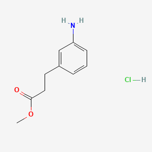molecular formula C10H14ClNO2 B597312 3-AMino-benzenepropanoic acid Methyl ester HCl CAS No. 103096-02-2