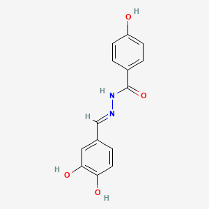 molecular formula C14H12N2O4 B5973429 N'-[(E)-(3,4-dihydroxyphenyl)methylidene]-4-hydroxybenzohydrazide 