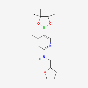 molecular formula C17H27BN2O3 B597344 4-Methyl-N-((tetrahydrofuran-2-yl)Methyl)-5-(4,4,5,5-tetraMethyl-1,3,2-dioxaborolan-2-yl)pyridin-2-a CAS No. 1353718-73-6