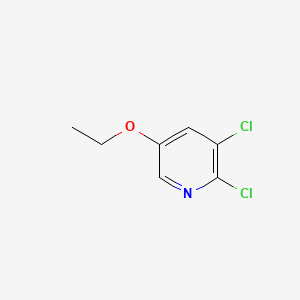 molecular formula C7H7Cl2NO B597348 2,3-Dichloro-5-ethoxypyridine CAS No. 1345471-27-3