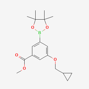molecular formula C18H25BO5 B597349 3-(环丙基甲氧基)-5-(4,4,5,5-四甲基-1,3,2-二氧杂硼烷-2-基)苯甲酸甲酯 CAS No. 1218789-62-8