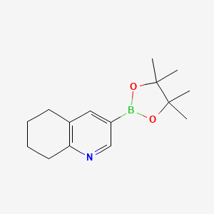 3-(4,4,5,5-Tetramethyl-1,3,2-dioxaborolan-2-yl)-5,6,7,8-tetrahydroquinoline