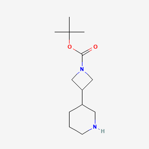 molecular formula C13H24N2O2 B597388 tert-Butyl 3-(piperidin-3-yl)azetidine-1-carboxylate CAS No. 1251006-73-1