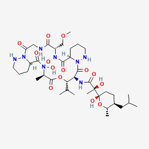 molecular formula C38H64N8O14 B597393 Aurantimycin A 