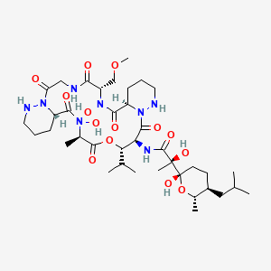 molecular formula C38H64N8O14 B597393 Aurantimycin A CAS No. 162478-50-4
