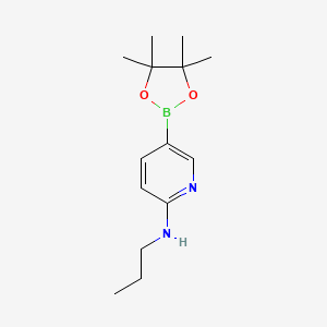 molecular formula C14H23BN2O2 B597411 N-propyl-5-(4,4,5,5-tetramethyl-1,3,2-dioxaborolan-2-yl)pyridin-2-amine CAS No. 1313760-65-4