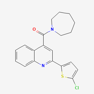 molecular formula C20H19ClN2OS B5974432 azepan-1-yl[2-(5-chlorothiophen-2-yl)quinolin-4-yl]methanone CAS No. 355384-03-1