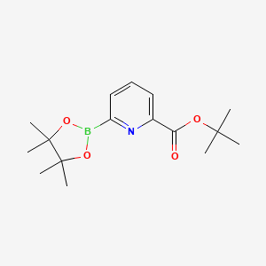 molecular formula C16H24BNO4 B597626 tert-Butyl 6-(4,4,5,5-tetramethyl-1,3,2-dioxaborolan-2-yl)picolinate CAS No. 1310404-19-3