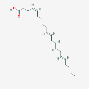 molecular formula C22H36O2 B597633 Docosa-4,10,13,16-tetraenoic acid CAS No. 122068-08-0