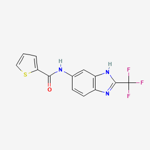 molecular formula C13H8F3N3OS B5976943 N-[2-(trifluoromethyl)-1H-benzimidazol-5-yl]thiophene-2-carboxamide 