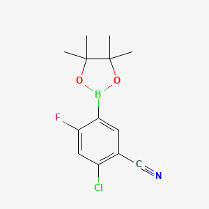 molecular formula C13H14BClFNO2 B597708 2-Chloro-4-fluoro-5-(4,4,5,5-tetramethyl-1,3,2-dioxaborolan-2-YL)benzonitrile CAS No. 1218790-13-6