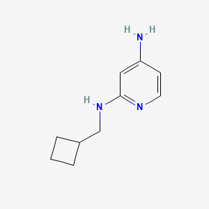 N2-(cyclobutylmethyl)pyridine-2,4-diamine