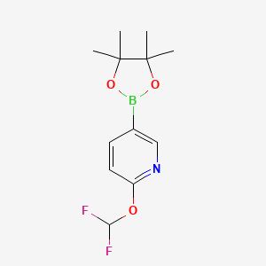 2-(Difluoromethoxy)-5-(4,4,5,5-tetramethyl-1,3,2-dioxaborolan-2-yl)pyridine