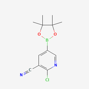 molecular formula C12H14BClN2O2 B597875 2-Chloro-5-(4,4,5,5-tetramethyl-1,3,2-dioxaborolan-2-yl)nicotinonitrile CAS No. 1220220-02-9
