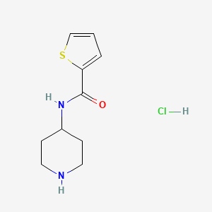 molecular formula C10H15ClN2OS B597943 N-(piperidin-4-yl)thiophene-2-carboxamide hydrochloride CAS No. 1211130-98-1