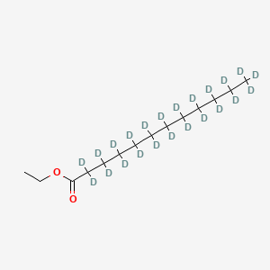 molecular formula C14H28O2 B597950 Ethyl dodecanoate-d23 CAS No. 1219795-35-3