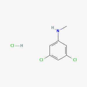 molecular formula C7H8Cl3N B598031 3,5-Dichloro-N-methylaniline hydrochloride CAS No. 1197239-04-5