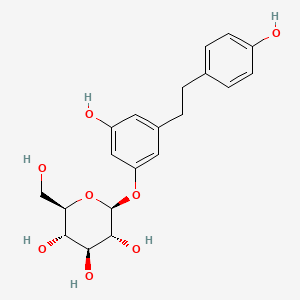 molecular formula C20H24O8 B598288 Dihydroresveratrol 3-O-glucoside 