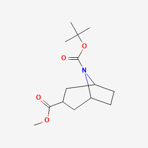 molecular formula C14H23NO4 B598390 EXO-8-BOC-8-AZABICYCLO[3.2.1]OCTANE-3-CARBOXYLIC ACID METHYL ESTER CAS No. 1204809-88-0