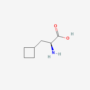 molecular formula C7H13NO2 B598528 (S)-2-Amino-3-cyclobutylpropanoic acid CAS No. 1201593-65-8