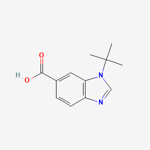 molecular formula C12H14N2O2 B598530 1-叔丁基-苯并咪唑-6-甲酸 CAS No. 1199773-33-5