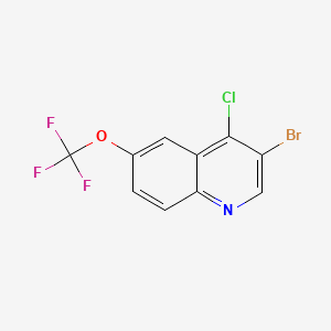 molecular formula C10H4BrClF3NO B598533 3-溴-4-氯-6-(三氟甲氧基)喹啉 CAS No. 1204811-48-2