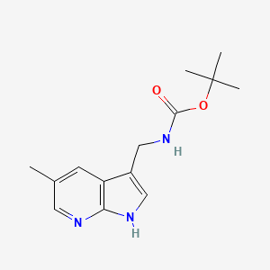 molecular formula C14H19N3O2 B598634 tert-Butyl (5-methyl-1H-pyrrolo[2,3-b]pyridin-3-yl)methylcarbamate CAS No. 1198107-00-4