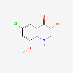 molecular formula C10H7BrClNO2 B598667 3-Bromo-6-chloro-8-methoxyquinolin-4(1H)-one CAS No. 1204810-80-9