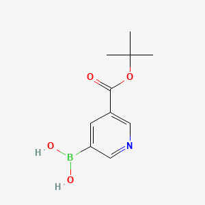 molecular formula C10H14BNO4 B598737 (5-(tert-Butoxycarbonyl)pyridin-3-yl)boronic acid CAS No. 1203649-61-9