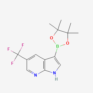 3-(4,4,5,5-Tetramethyl-1,3,2-dioxaborolan-2-yl)-5-(trifluoromethyl)-1H-pyrrolo[2,3-b]pyridine