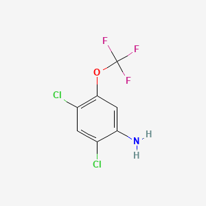 molecular formula C7H4Cl2F3NO B598838 2,4-二氯-5-(三氟甲氧基)苯胺 CAS No. 1598-42-1