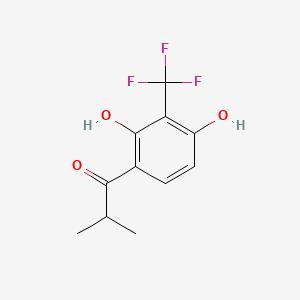 molecular formula C11H11F3O3 B598842 1-(2,4-二羟基-3-(三氟甲基)苯基)-2-甲基丙酮 CAS No. 1204737-93-8