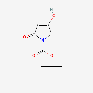 molecular formula C9H13NO4 B598847 tert-butyl 4-hydroxy-2-oxo-2,5-dihydro-1H-pyrrole-1-carboxylate CAS No. 182352-48-3