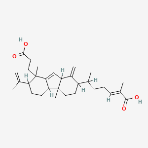 molecular formula C30H44O4 B598893 Seconeokadsuranic acid A 