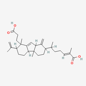 molecular formula C30H44O4 B598893 Seconeokadsuranic acid A CAS No. 124817-74-9